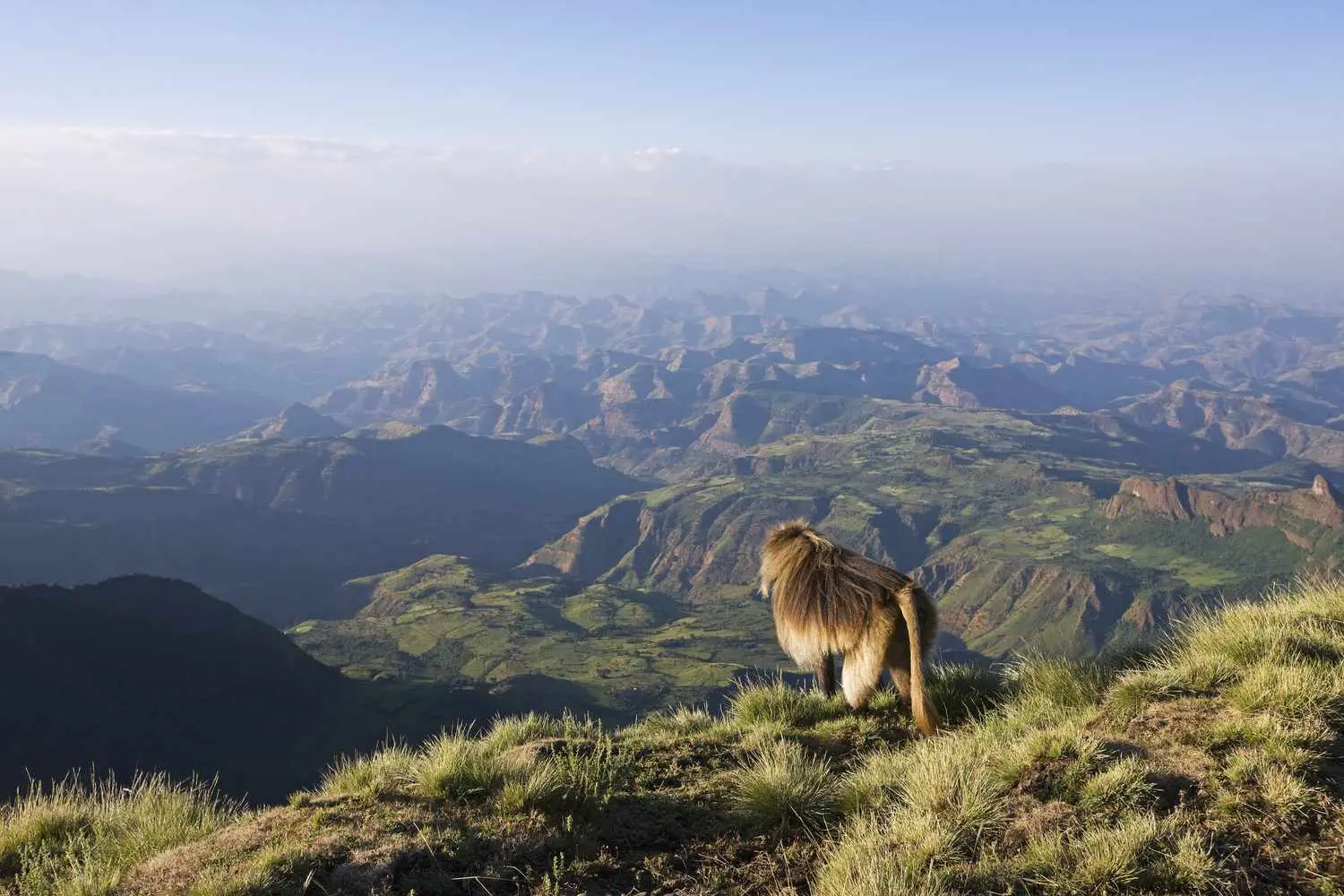 Simien Moubntains